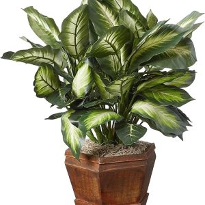 Artificial Triple Golden Dieffenbachia Plant